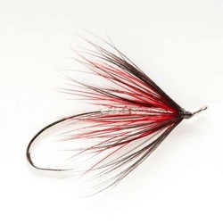 F.M. RED and BLACK SPIDER 07