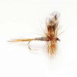 Mosca Baetis Adams 14