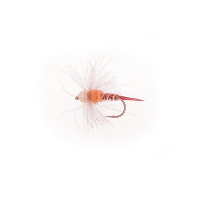B/3 Ninfa Baetis CDC